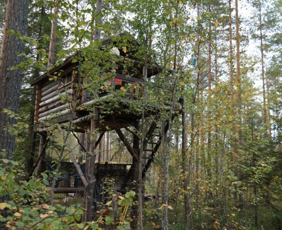 Zweedse Boomhut