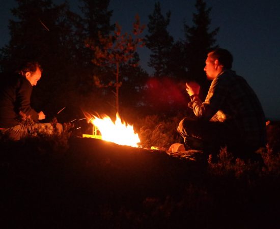 Wildernis safari in Zweden