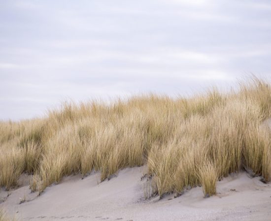 Herfst in Noord-Jutland - Denemarken
