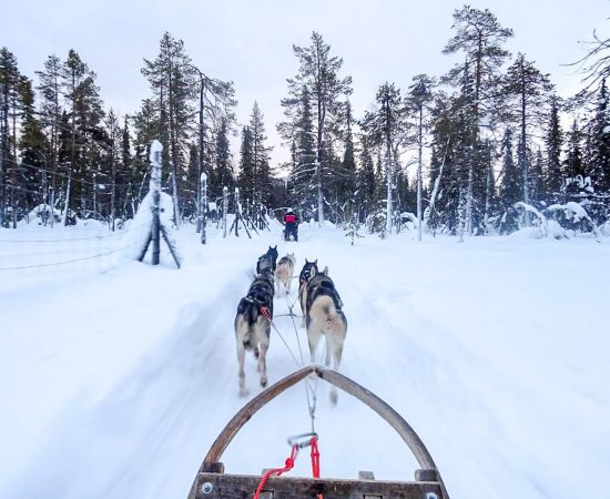 Stedentrip rond de kerst
