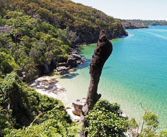 Spit Bridge to Manly walk