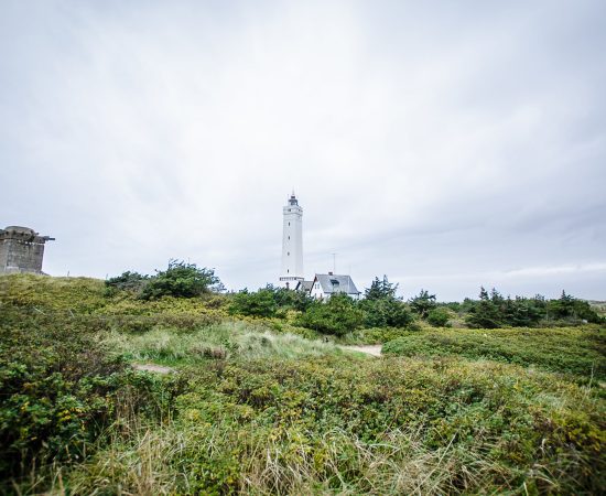 Ontdek de leukste vakantieparken van Denemarken