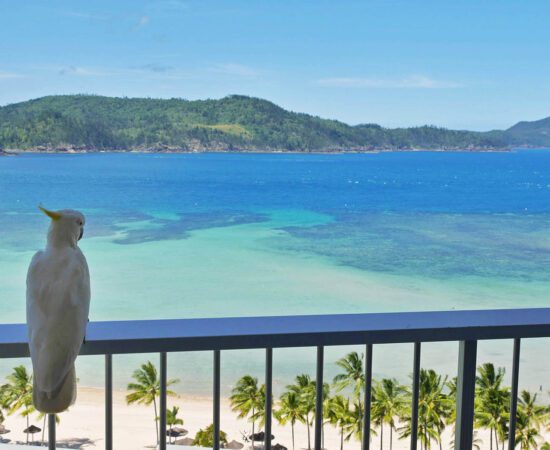 Hamilton Island