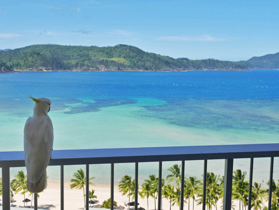 Hamilton Island