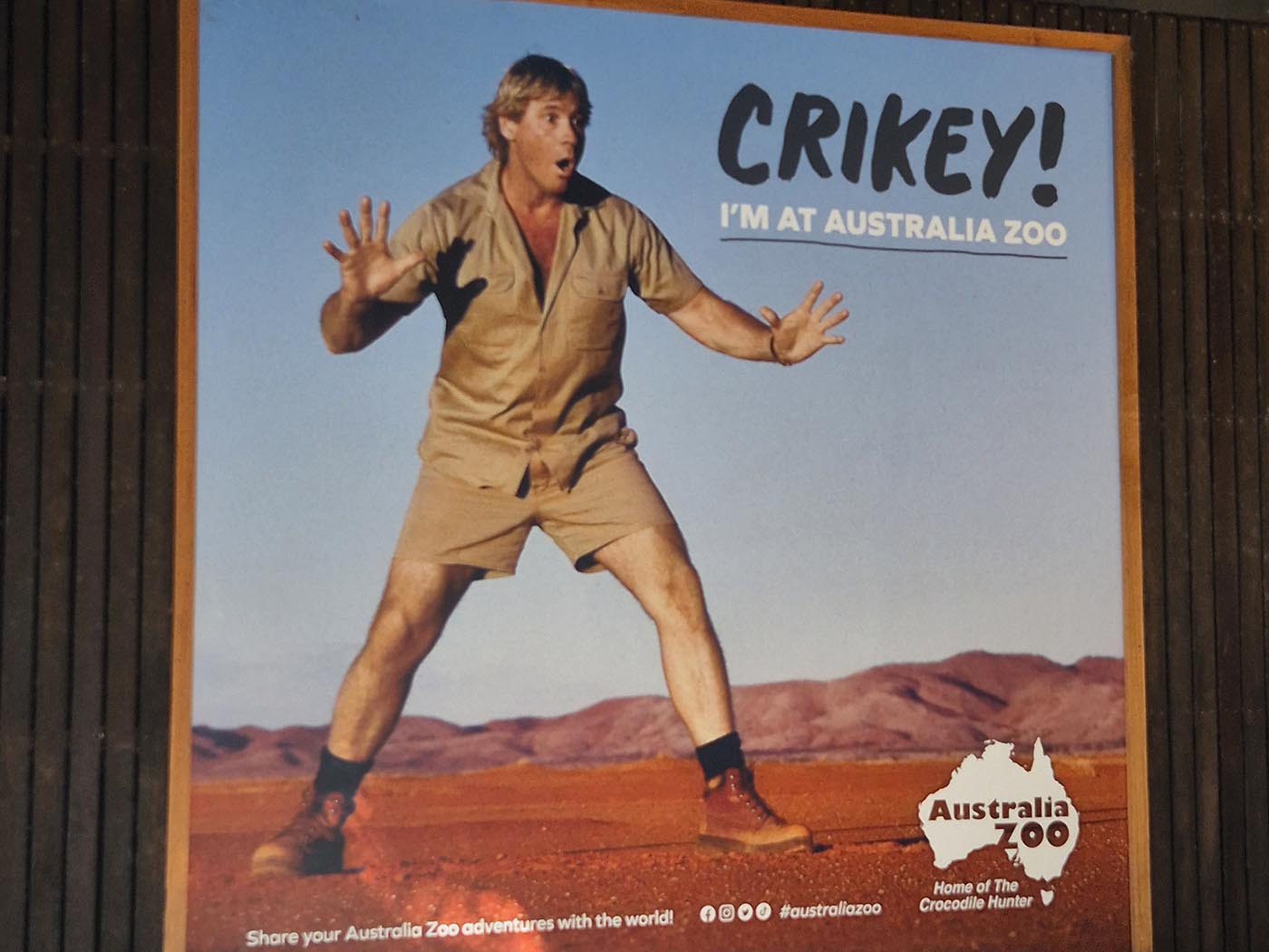 Steve Irwin