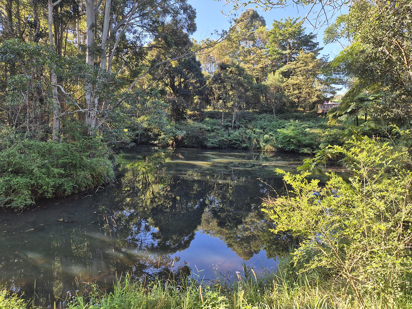 Platypus Viewing Platform